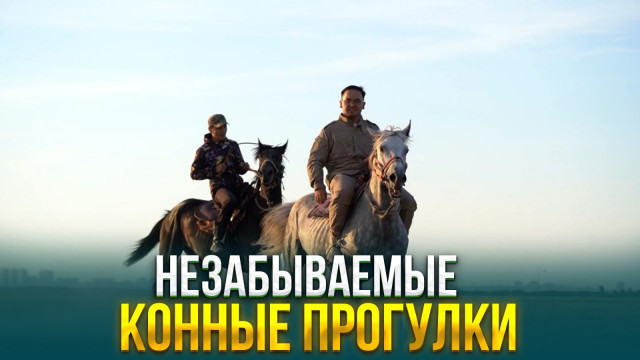 Незабываемые конные прогулки